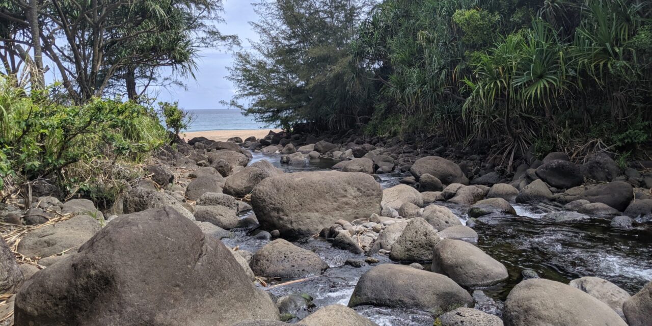 The History of Hanakāpīʻai Valley: Ancient Roots to Present Day