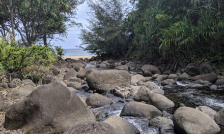 The History of Hanakāpīʻai Valley: Ancient Roots to Present Day