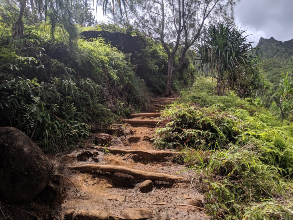 Man-made stairs along the trail.