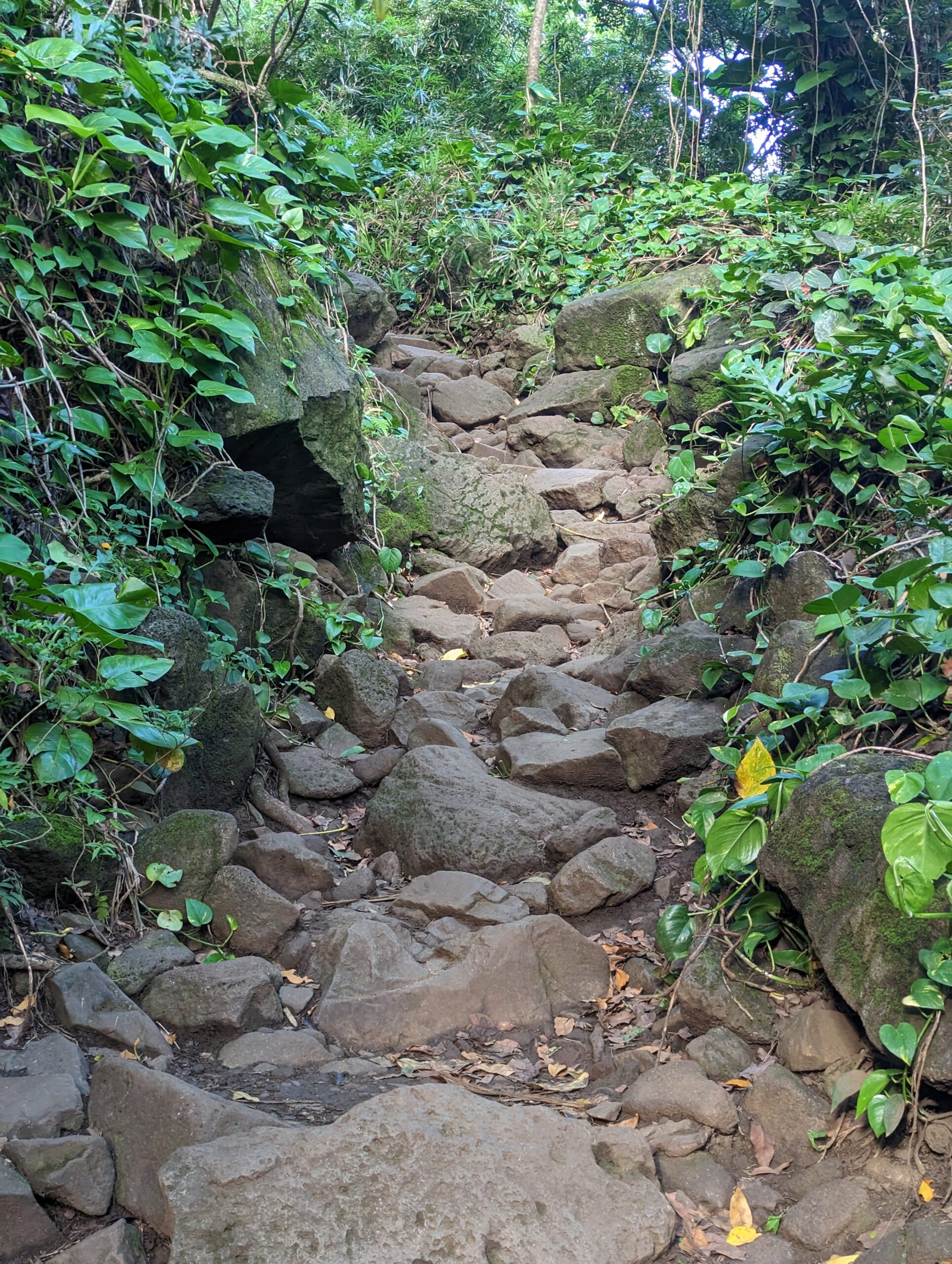 Hanakāpīʻai Trail Start