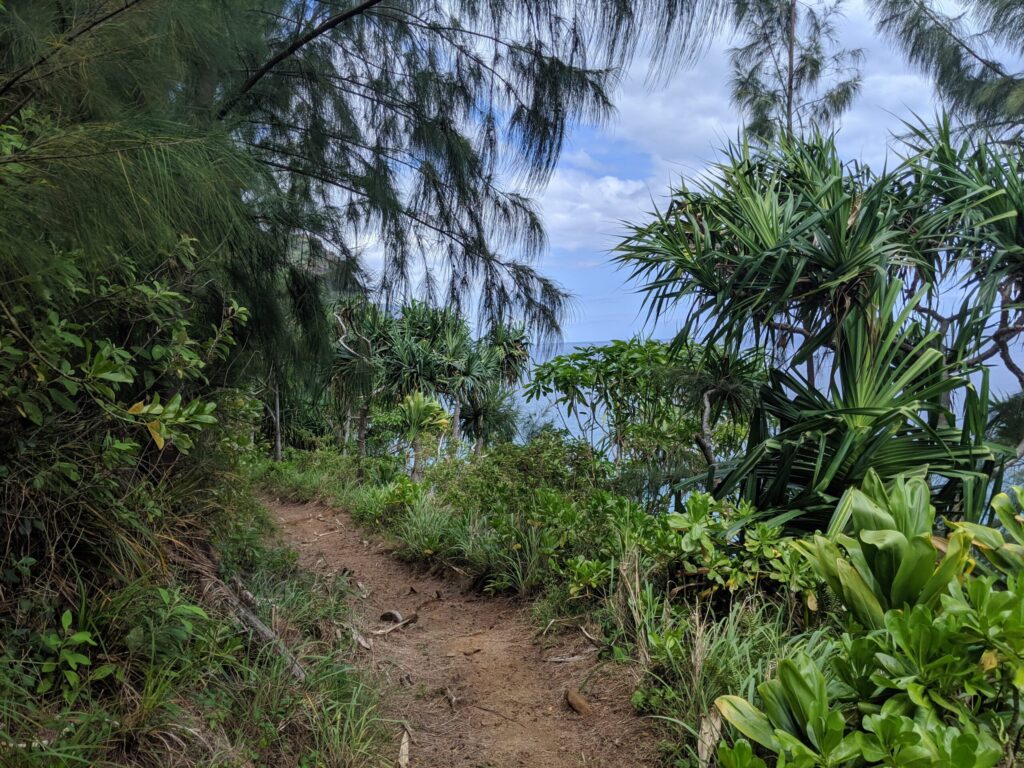 Hanakāpīʻai Trail path